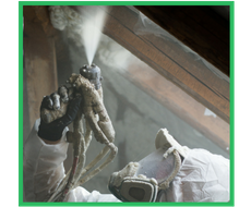 Attic Decontamination